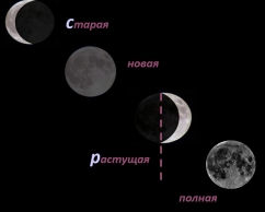 Кадр из программы "Проделки Луны"